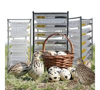 Cage À Cailles Renforcée 6 Niveaux - Capacité 420 Oiseaux, Conception Verticale Économisant l'espace & Collecte D'Œufs Facile pour Élevage Commercial/Intérieur(Size:6-Tier)