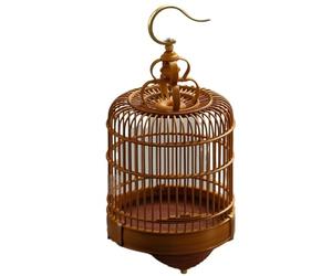 Cage à grillons pour Reptiles The Grasshopper Cage Can be Hung for Easy Carrying, Storage, and Viewing(Petit)
