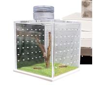 Cage à lézard | Cage de réservoir transparente pour grenouille | Petit habitat de mantes priantes, terrarium d'escargots avec humidificateur léger pour araignées et autres invertébrés