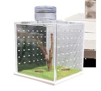 Cage à lézard - Enclos transparent pour reptiles, niche et mangeoire | Réservoir transparent pour grenouilles avec lumière et humidificateur, habitat amphibien, petite maison pour reptiles pour