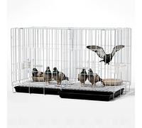 Cage à Oiseaux, Cage à Pigeon Pliable, Le Haut Peut être Ouvert, Grande Portable Cage à Oiseaux Volière, Anti-évasion, avec Accessoires, 100x60x70 cm, pour 1-8 Pigeons (Color : Silver-80x40x47 cm)