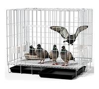 Cage à Oiseaux, Cage à Pigeon Pliable, Le Haut peut être Ouvert, Grande Portable Cage à Oiseaux Volière, Anti-évasion, avec Accessoires, 100x60x70 cm, pour 1-8 Pigeons ( Color : Silver-70x50x60 cm )