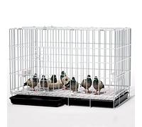Cage à Oiseaux, Cage à Pigeon Pliable, Le Haut Peut être Ouvert, Grande Portable Cage à Oiseaux Volière, Anti-évasion, avec Accessoires, 100x60x70 cm, pour 1-8 Pigeons (Color : Silver-100x60x70 cm)