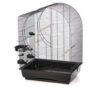 Cage À Oiseaux Duvo+ Elizabeth Noire 54x39x74cm Avec Bol À Nourriture & Perchoir
