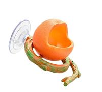Cage à oiseaux en résine, tasse d ' eau pour petits oiseaux de compagnie, bol d ' alimentation monté par ventouse, de perche, décor de fruits attrayant à l ' intérieur, tasse de volière, bol de cage