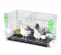 Cage à Oiseaux métallique Solide, Grande Cage à Pigeons reproducteurs avec Plateau de séparation, Fontaine à Boire, Cage de vol en Fer pour perruches et perroquets (métallique)