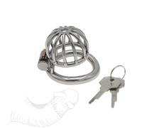 Cage à Oiseaux Minimaliste en Fer forgé, idéale pour la décoration et l'ornementation de Votre intérieur