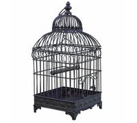 Cage à Oiseaux - Non spécifié - Moyenne - Fer Patiné Marron - 20x20x49,5cm - Décorative
