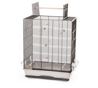 Cage À Oiseaux Pour Perroquet Et Canaries Avec Perchoir