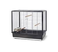 Cage à Oiseaux - Savic Noah Knock Down - Pliable - Noir - 80x50x70 cm - Grande Cage pour perruches calopsittes - Montage Facile sans Outils