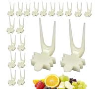 Cage à oiseaux - Support alimentaire pour fruits pour oiseaux, perruches, oiseaux d'amour, hamsters, rongeurs