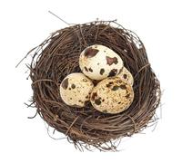 Cage à oiseaux tissée - Nid d'oiseau naturel - Nid de reproduction fait à la main pour hamsters, cochons d'Inde, gerbilles, lapins, habitat confortable pour chinchilla