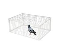 Cage à pigeons, piège à volaille en fer avec vernis de cuisson, protégé