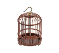 Cage à Sauterelles Robuste, L, 1 Étage | Cage à Grillons, Pratique, pour Décoration, Collectionneurs