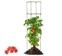 Cage à tomates, piquet robuste carré de cent soixante-deux centimètres, support structure pour et grimpantes - pour grimpantes, fleurs, légumes, fruits, intérieur et