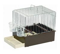 Cage chanteurs