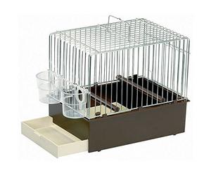 Cage chanteurs