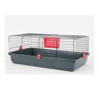 Cage Classic 100 Cerise G