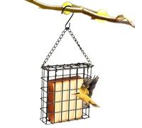 Cage d'alimentation pour - Unité de Nourriture pour Oiseaux de Jardin, Distributeur en Treillis métallique | Système de Structure d'amélioration de l'habitat d'observation des Oiseaux, Cadre d'al