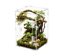 Cage d'arachnide sautant - Espace transparent, fournitures de sabotage, terrarium pour petites créatures, lézard carpe Terrapin lézard serpent coquillage triton crustacé crapaud | Étui robuste de