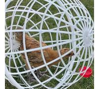 Cage de Balle d'orbe de Poulet, Cage à Boule de Poulet - Cage de Ronde roulable - Coopérative de volaille à sécurité Mobile Une boîte de Poussin à Pied à Pied pour Lapins, arrière-Cour et Anima