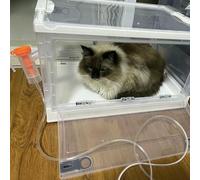 Cage De Boîte De Nébuliseur Pour Animaux De Compagnie Pliable - Respiration De Toux, Trous À Double Trous Pour Chats A Atomisation Chambre D'oxygène, Hôpital De Tente Médicale Animale Portable (petit)