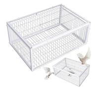 Cage de Fer à l'épreuve des Pigeons - Catcher d'oiseaux Humain pour Jardin/Ferme/Patio (Moineau/Lapin/Poulet)