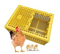 Cage de transport de volaille en plastique respirante pour oiseaux, canards, oies