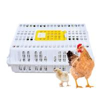 Cage de transport de volaille pour poules et canards - Cage de transport en plastique durable pour un transport sûr des oiseaux