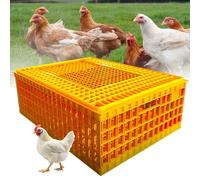 Cage de transport en plastique pour poulets, canards, oies et oiseaux adultes, design respirant, idéal pour 8 à 11 poules