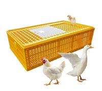 Cage de transport en plastique robuste pour poulets, canards, oies et oiseaux Taille XL