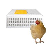 Cage de Transport for Volailles, Cage de Transport en Plastique for Poulets, Cage de Transport for Poulets, Panier de Transport for Volailles, for 8 à 13 Poulets Adultes, for Volailles, Poulets(White,