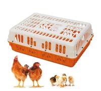 Cage de Transport for volailles, Cage de Transport en Plastique for Poulets, Panier de Transport for volailles avec poignée, Quatre Coins renforcés, for Oiseaux, Canards, oies et Poulets Adultes de 8