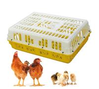 Cage de Transport for volailles, Cage de Transport en Plastique for Poulets, Panier de Transport for volailles avec poignée, Quatre Coins renforcés, for Oiseaux, Canards, oies et Poulets Adultes de 8