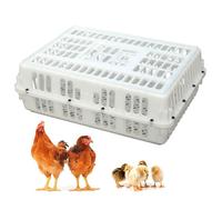 Cage de Transport for volailles, Cage de Transport en Plastique for Poulets, Panier de Transport for volailles avec poignée, Quatre Coins renforcés, for Oiseaux, Canards, oies et Poulets Adultes de 8