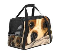 Cage de transport pour animal domestique Cavalier King Charles Spaniel - Douce - Portable et pliable - Approuvée par les compagnies aériennes