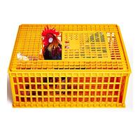 Cage de transport pour volailles en plastique robuste pour poules et poules - Pour oiseaux, canards, oies, 13 poules adultes, 75 x 55 x 33 cm