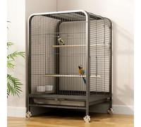 Cage de vol pour perroquet avec roulettes - Plateau amovible pour l'intérieur et l'extérieur - Parfait pour les petits perroquets - Facile à déplacer et à nettoyer