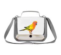 Cage de voyage des porteurs d'oiseaux, cage d'oiseau de voyage pour conure,Avec le support perchable CACCASSAGE PACLE CACCAYAGE | Pack de transporteur pour animaux de compagnie à transport transparent