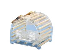 Cage de voyage transparente en acrylique pour perroquet, inséparables, avec échelle et plateau pour voyage en plein air avec poignée