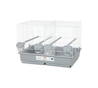 Cage d élevage oiseau Zolu Primo Cati Pour canari mandarin 57 p34.5 41 cm et