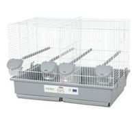 Cage d élevage oiseau Zolu Primo Cati Pour canari mandarin 57 p34.5 41 cm et