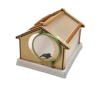 Cage d'observation des insectes pour l'extérieur - Cage d'élevage pour vers à soie - 20 x 15 x 13 cm - Cage portable et respirante - Pour petits animaux - Kaki
