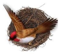 Cage d'oiseaux pour petits oiseaux - Reproduction tissée à la main | Maison de lit pour petits animaux de jardin Accessoires de cage à oiseaux pour oiseaux pour perruche