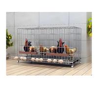 Cage en métal robuste pour poulet et petits animaux - Poulailler portable avec plateau de collecte des œufs, mangeoires et roues verrouillables pour volaille et animaux domestiques (style 2)