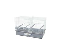 Zolux – Cage d'élevage pour oiseaux Primo – 69 × 39 × 44,5 cm – Blanc et gris