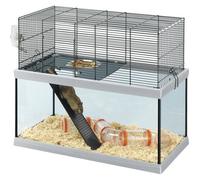 Ferplast Cage pour Rongeurs GABRY 60 pour Gerbilles, Hamsters, en Métal et Verre, Accessoires Inclus : Abreuvoir, Abreuvoir, Etagère, Echelle, Set de Pipe. 60x31,5xh52cm