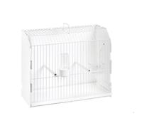 Cage exposition avec trou latéral Blanc