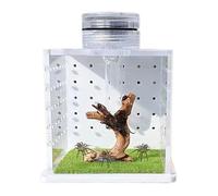 Cage Lagarto - Tarantula Tank, petit habitat de Mantis de prière | Construction transparente et durable, humidificateur de lumière intégré pour l'entretien des araignées et terrarium