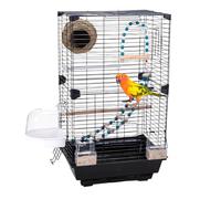 Cage Oiseau, 28 x 37 x 63 cm Grande Cage Perroquet en Fil de Fer de 2 mm avec Panneau Acrylique Transparent, Conception à Double Porte, Plateau Amovible et 8 Configurations de Divertissement